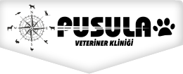 biVet